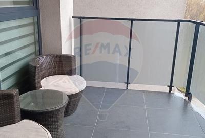 Apartament cu 2 camere decomandat, mobilat în Banu Mărăcine - 20