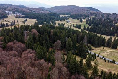 Teren intravilan de 1000 mp, în Poiana Brașov - 7
