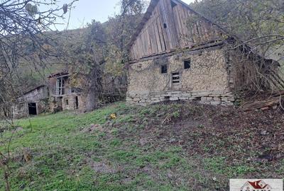 Casă individuală cu 2 camere cu Teren 17399 Mp în Valea Vințului - 3