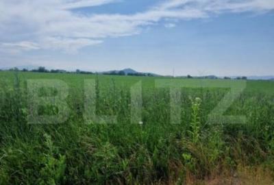 Teren extravilan, 1203 mp pretabil pentru investitie ,casa p - 3