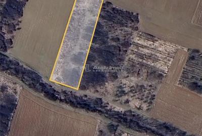 Teren de 3000 mp, în Biharia