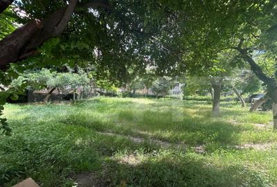 Teren intravilan, 232 mp, cartier Rovine - 1