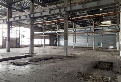 Spațiu comercial, de 2,920 mp, în Timișoara - 15