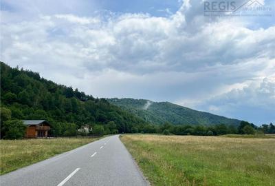TEREN INTRAVILAN DEOSEBIT, ZARNESTI, VALEA BARSEI - 11