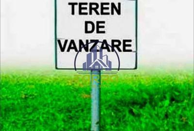 Spațiu comercial, în Bărăbanț - 1