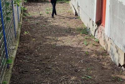 Casă cu 1 camere cu Teren 180 Mp în Dascălu - 9