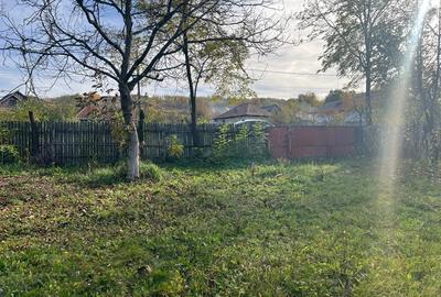 Vand casa in Berbesti. - 8