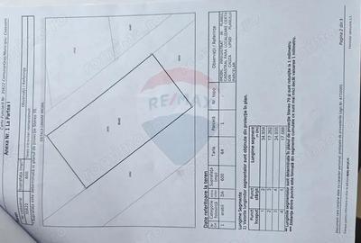 Teren 300 mp Cosoveni / Aleea Ulmului Teren 300 mp Cosoveni / Aleea Ulmului - 3