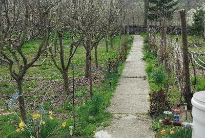 Casă cu 3 camere cu Teren 1650 Mp în Racovițeni - 9