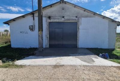 Spațiu comercial, de 484 mp, în Speriețeni - 4