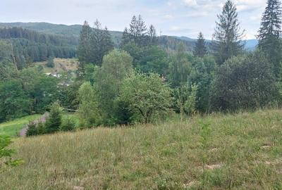 Teren Construcții intravilan de 9106 mp, în Voroneț - 5