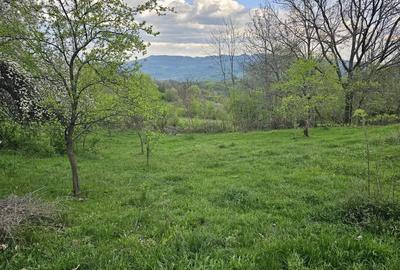 Teren de 949 mp, în Sălătrucel - 6