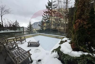 Apartament cu 1 camere, mobilat în Drumul Poienii - 9