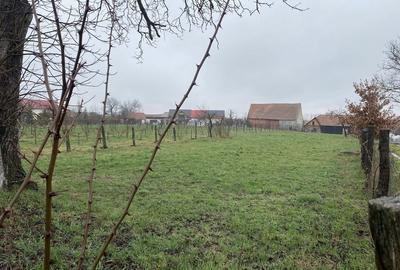 Spațiu comercial, în Comana - 3