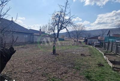 Teren de 2000 mp, în Hemeiuș - 3