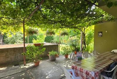 Casa de vanzare, 360 Mp teren, zona centrala, Sighisoara - 10