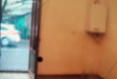 Spațiu comercial, 200000 mp în Central - 4