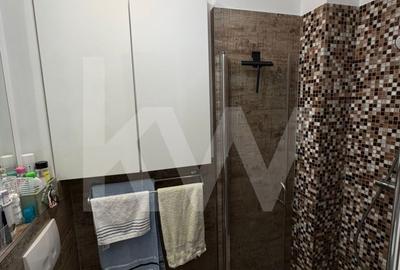 Apartament cu 3 camere decomandat, mobilat în Brazda lui Novac - 8