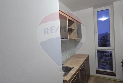 Apartament cu 2 camere de inchiriat Vivalia  zona Aurel Vlaicu - 12