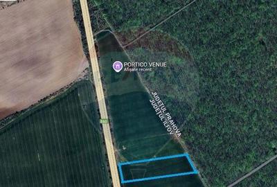 Teren Ciolpani 6000 mp DN1 PORTICO VENUE - 4