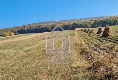 Teren constructie casa, Ilies, Dolhasca - 2