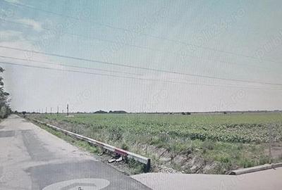 Vand teren curti-constructii, Cateasca, la drumul judetean, 65000 mp Vand teren curti-constructii, Cateasca, la drumul judetean, 65000 mp - 2