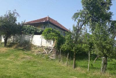 Casa batraneasca+teren de vanzare in sat Radosi,comuna Crasna,judetul Gorj - 4