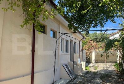 Casa 50mp, pe un teren de 1000mp, in Leamna de Jos Casa 50mp, pe un teren de 1000mp, in Leamna de Jos - 2