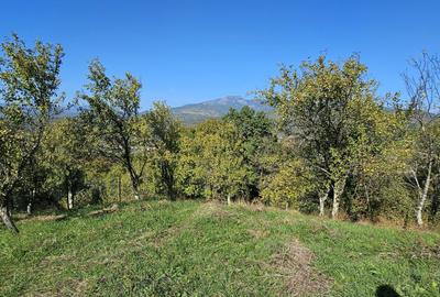 Spațiu comercial, în Central - 2