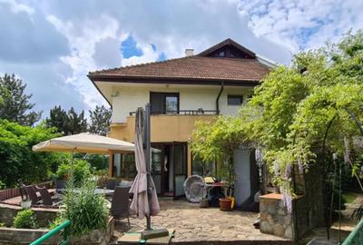 Casă cu 7 camere cu Piscina în Săftica - 3