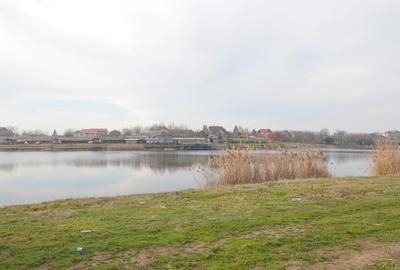 Loturi Teren Frumusani - Lac Pasarea | Localizare Extraordinara - 6