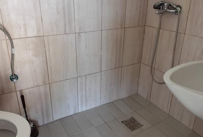Proprietate de vânzare/schimb la Fântânele – Sibiu - 8