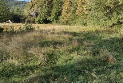 Spațiu comercial, în Poieni - 6