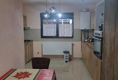 Casă cu Teren 1480 Mp în Coșteiu - 1