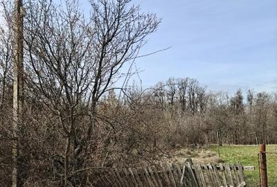 Teren de 1472 mp, în Lintești - 4