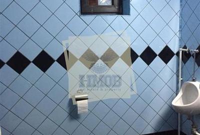 Casă individuală cu 6 camere cu Canalizare în Păltiniș - 4