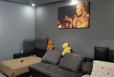 Garsoniera Brazda, 33mp, renovata recent - 2