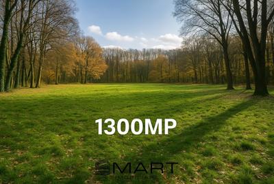 Teren cu vad exceptional 1300mp zona Subarini - 1