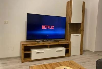 Apartament cu 2 camere decomandat, mobilat în Tineretului - 2