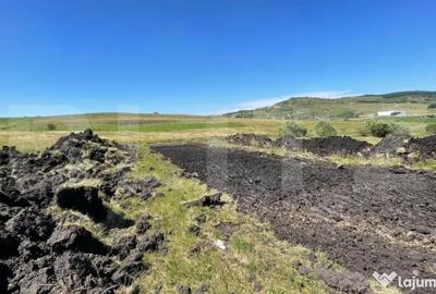 Teren de 800 mp, în Chinteni - 5