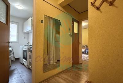 Garsonieră de închiriat | Câmpia Libertății – Baba Novac | aproape de parc - 9