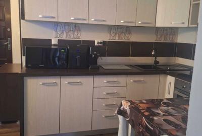 Apartament cu 2 camere decomandat în Gura Râului - 5