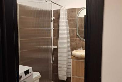 Garsonieră decomandată, mobilată în Theodor Pallady - 9