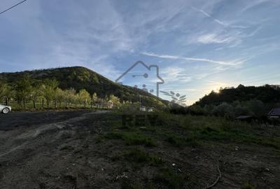 Teren la poalele Cetății Cisnadioarei de vânzare/1250 mp - 8