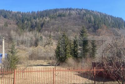 Casa de vanzare, cu 6 camere, 300 mp, spa?ioasa, in Ca - 11