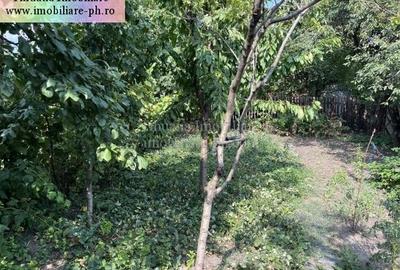 Tihuana Imobiliare:casa de vanzare-Buna Vestire - 6
