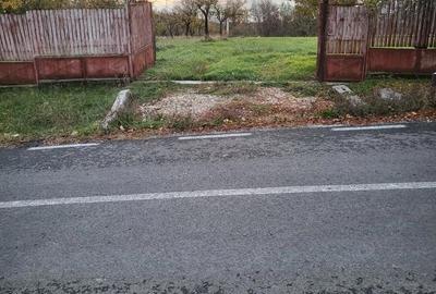 Teren de 600 mp, în Moșoaia - 9
