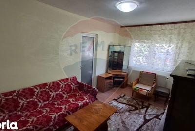 Apartament cu 2 camere semidecomandat, mobilat în Aurel Vlaicu - 4