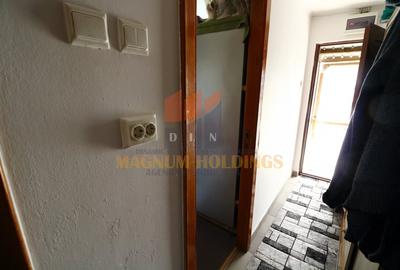 Casa doua camere plus garaj, Mosoaia, Hintesti, 6 km de Pitesti - 9