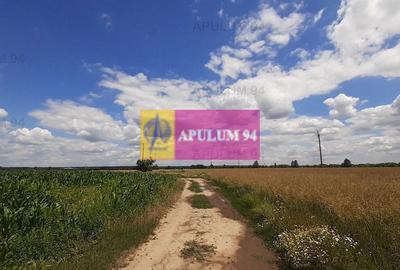 Teren Construcții intravilan de 715 mp, în Snagov - 33